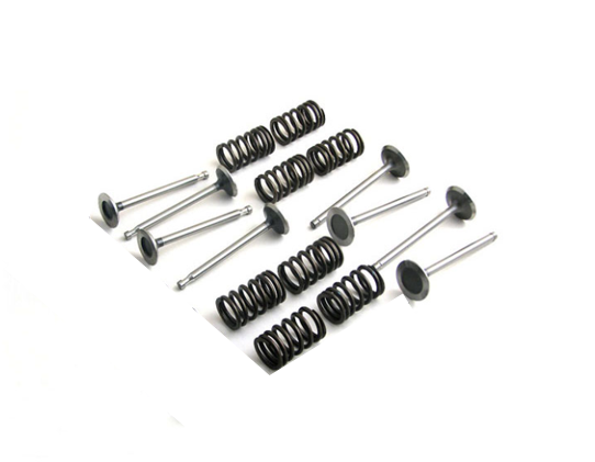 CATERPILLAR 3024C/T VALVE TRAIN KIT  BVTK558 New