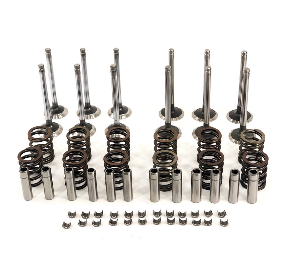 CATERPILLAR 3056 INDUSTRIAL VALVE TRAIN KIT (45 DEGREE) BVTK752 New