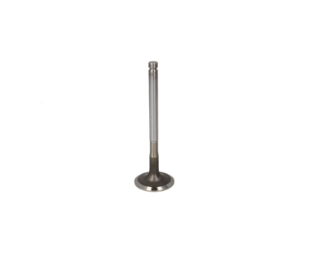 PERKINS 1103C-33T DD,1103C-33TA DE, 1103B-33T DG,1103-33T DK VALVE, EXHAUST P3142A151 New